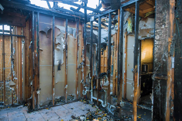 Professional Odor Removal technician working in Anna, TX